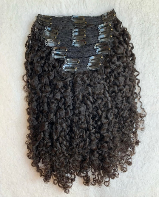 RAW BURMESE CURLY CLIP-INS